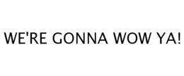 WE'RE GONNA WOW YA! trademark