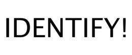 IDENTIFY! trademark