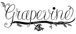 GRAPEVINE trademark