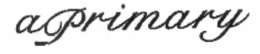 APRIMARY trademark