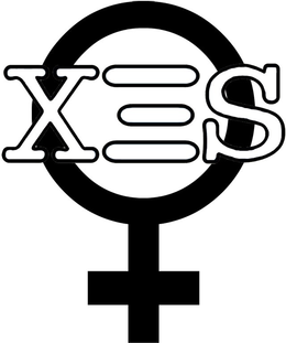 XES trademark