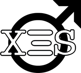 XES trademark