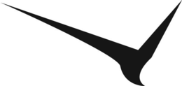 V trademark