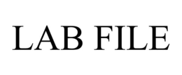 LAB FILE trademark
