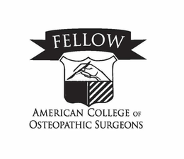 FELLOW AMERICAN COLLEGE OF OSTEOPATHIC SURGEONS trademark