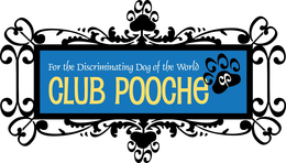 FOR THE DISCRIMINATING DOG OF THE WORLD CLUB POOCHE trademark