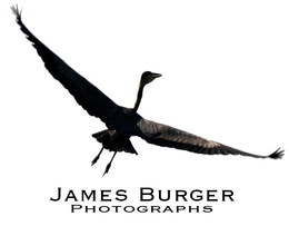 JAMES BURGER PHOTOGRAPHS trademark