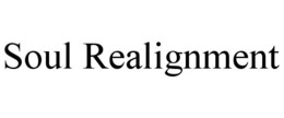 SOUL REALIGNMENT trademark