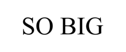 SO BIG trademark