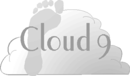 CLOUD 9 trademark