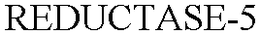 REDUCTASE-5 trademark