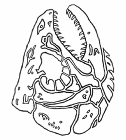 LogoMark trademark