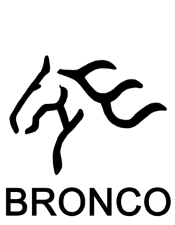 BRONCO trademark