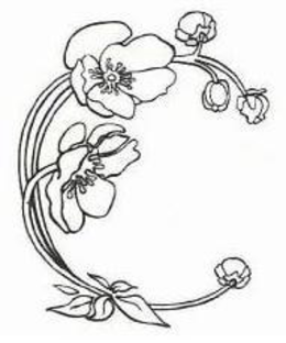 C trademark