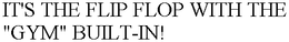 IT'S THE FLIP FLOP WITH THE "GYM" BUILT-IN! trademark