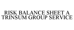RISK BALANCE SHEET A TRINSUM GROUP SERVICE trademark
