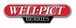 WELL·PICT BERRIES trademark