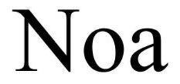 NOA trademark