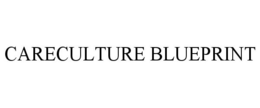CARECULTURE BLUEPRINT trademark