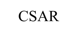 CSAR trademark