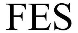 FES trademark
