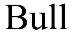 BULL trademark