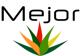 MEJOR trademark