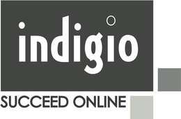 INDIGIO SUCCEED ONLINE trademark