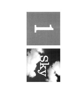 1 SKY trademark
