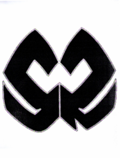 WSR trademark