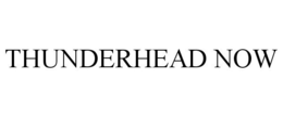 THUNDERHEAD NOW trademark