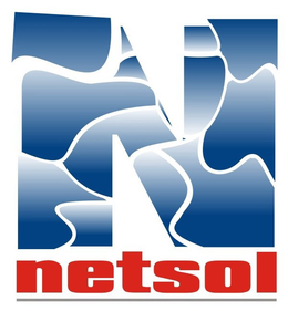 NETSOL N trademark