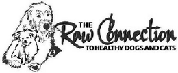 THE RAW CONNECTION TO HEALTHY DOGS AND CATS trademark