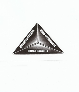 HUMAN CAPACITY OPERATING SYSTEMS WORK ENVIRONMENT trademark