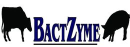 BACTZYME trademark
