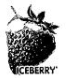 ICEBERRY trademark
