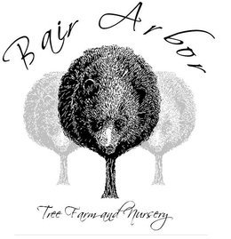 BAIR ARBOR TREE FARM AND NURSERY trademark
