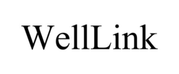 WELLLINK trademark