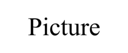 PICTURE trademark