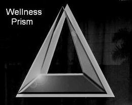 WELLNESS PRISM trademark