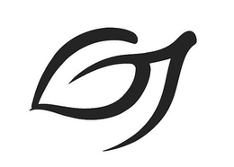 GT trademark