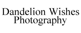 DANDELION WISHES PHOTOGRAPHY trademark