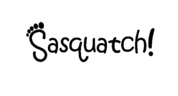 SASQUATCH! trademark
