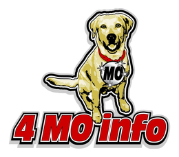 MO 4MOINFO trademark