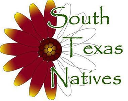 SOUTH TEXAS NATIVES trademark