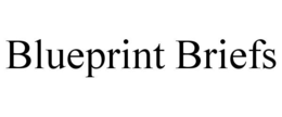 BLUEPRINT BRIEFS trademark