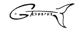 G TOWN trademark