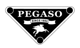 PEGASO SINCE 1984 trademark