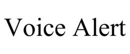 VOICE ALERT trademark