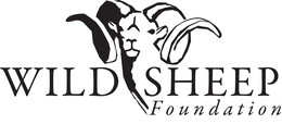 WILD SHEEP FOUNDATION trademark